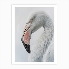 Flamingo 2 Art Print