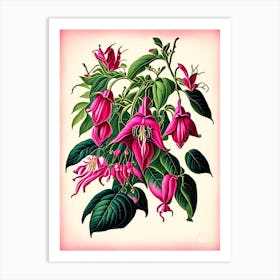 Fuchsia 2 Floral Botanical Vintage Poster Flower Art Print