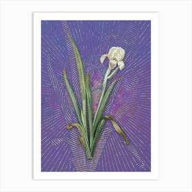 Vintage Crimean Iris Botanical Illustration on Veri Peri Art Print