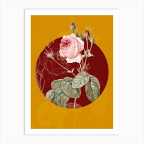 Vintage Botanical Cabbage Rose on Circle Red on Yellow n.0175 Art Print