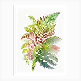 Painted Fern Wildflower Watercolour Art Print