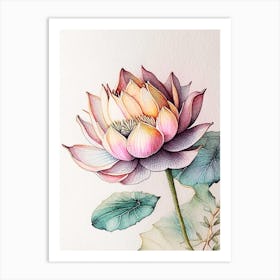 Lotus Flower Pattern Watercolour Ink Pencil 2 Art Print