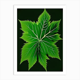 Nettle Leaf Vibrant Inspired 2 Art Print