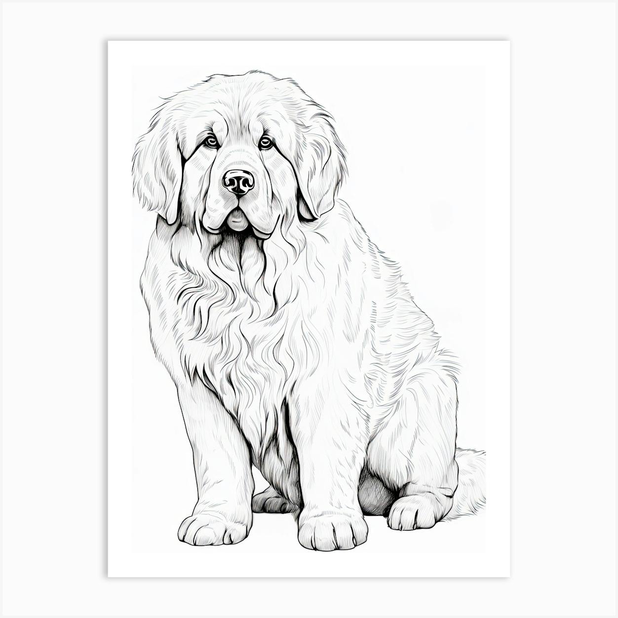 One line art drawing of a maltese dog on Craiyon