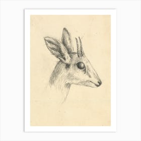 Antelope Head, Luigi Balugani Art Print