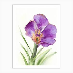 Iris Wildflower Watercolour 2 Art Print