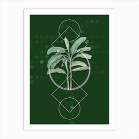 Vintage Banana Tree Botanical with Geometric Line Motif and Dot Pattern n.0136 Art Print