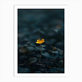 Yellow Flower In The Dark 7 Art Print