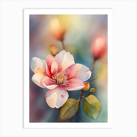 Magnolia Flower Art Print