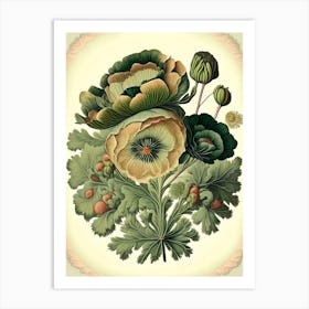 Ranunculus Floral 2 Botanical Vintage Poster Flower Art Print