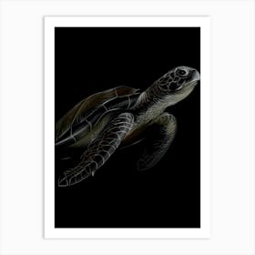 Green Sea Turtle Art Print