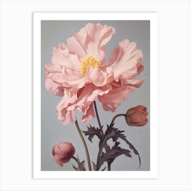 Floral Illustration Peony 1 Art Print