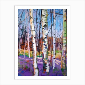 Birch Forest - Birch Trees Art Print