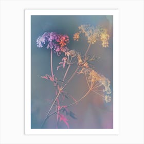 Iridescent Flower Queen Annes Lace 2 Art Print
