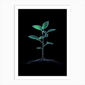 Green Plant Growing On Black Background 1 Art Print