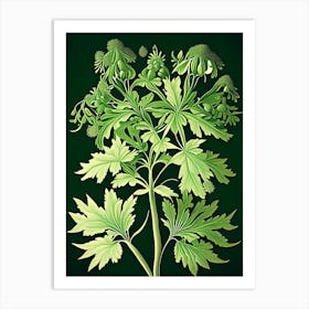 Lovage Herb Vintage Botanical Art Print