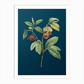 Vintage Papaw Tree Branch Botanical Art on Teal Blue n.0899 Art Print