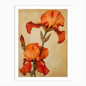 2024 May Poster Canvas Sng Iris 36 Art Print