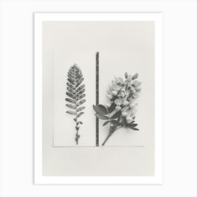 Wisteria Flower Photo Collage 2 Art Print