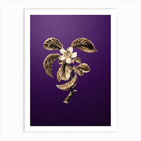 Gold Botanical Chinese Quince on Royal Purple n.2898 Art Print