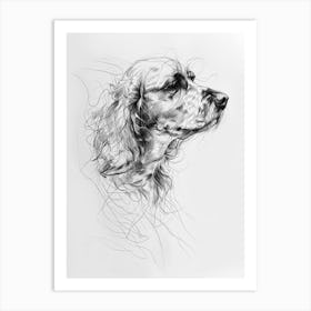 Boykin Spaniel Dog Line Art 2 Art Print