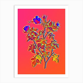 Neon Pink Flowering Rosebush Botanical in Hot Pink and Electric Blue n.0227 Art Print