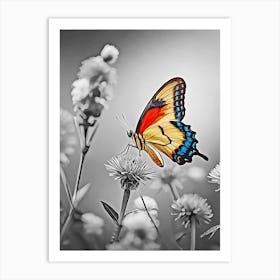 Butterfly In Black And White Art Print