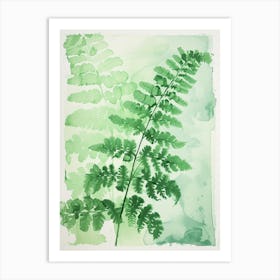 Green Ink Painting Of A Southern Maidenhair Fern 1 Art Print