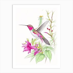 Hummingbird In A Garden Quentin Blake Illustration Art Print