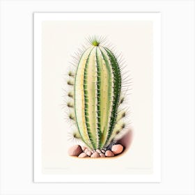 Ferocactus Cactus Marker Art 3 Art Print