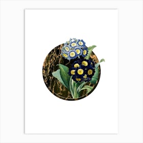 Vintage Mountain Cowslip Botanical in Gilded Marble on Clean White Art Print