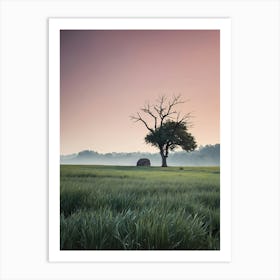 Lone Tree In The Field 1 Art Print