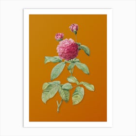 Vintage Agatha Rose in Bloom Botanical on Sunset Orange n.0637 Art Print
