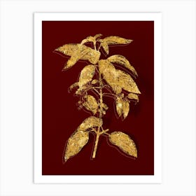 Vintage Chilean Wineberry Branch Botanical in Gold on Red n.0223 Art Print