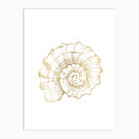 Colored seashells. Seashells. Summer. 7 Art Print