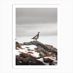 Ptarmigan Landscape Art Print