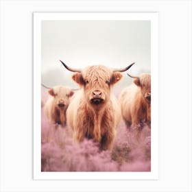 Blush Pink Portrait Of Three Highland Cows Art Print