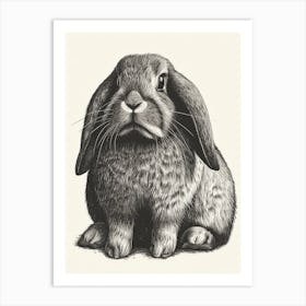 English Lop Blockprint Rabbit Illustration 3 Art Print
