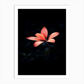 Red Flower Wallpaper Art Print