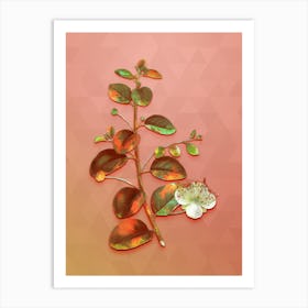 Vintage Caper Plant Botanical Art on Peach Pink n.0579 Art Print