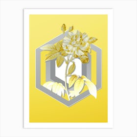 Botanical French Rosebush with Variegated Flowers in Gray and Yellow Gradient n.088 Art Print