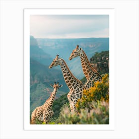 Giraffes In The Mountains Art Print