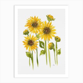 Sunflower Field Art Print