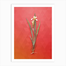 Vintage Yellow Banded Iris Botanical Art on Fiery Red n.0642 Art Print