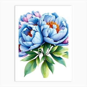 Peonies 11 Art Print