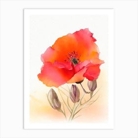 Desert Poppy Wildflower Watercolour 2 Art Print
