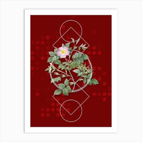 Vintage Malmedy Rose Botanical with Geometric Line Motif and Dot Pattern n.0060 Art Print