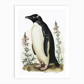 Adlie Penguin Santiago Island Vintage Botanical Painting 3 Art Print