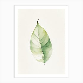 Pear Leaf Minimalist Watercolour 1 Art Print