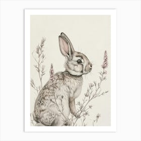 Satin Rabbit Drawing 1 Art Print